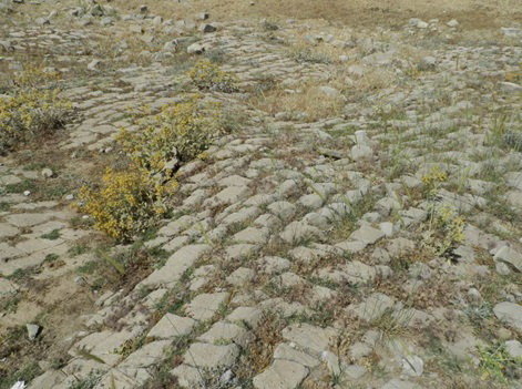 سنگفرش‌های ساسانی که شیراز را به کرمان می‌رساند